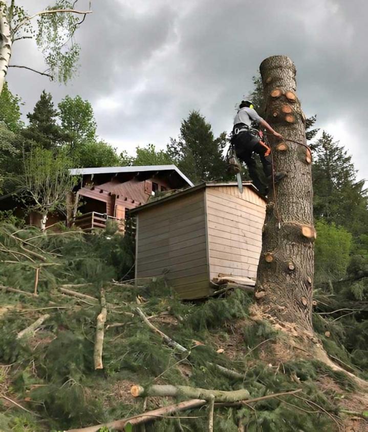 Élagage d'arbres difficiles Puy-de-Dôme