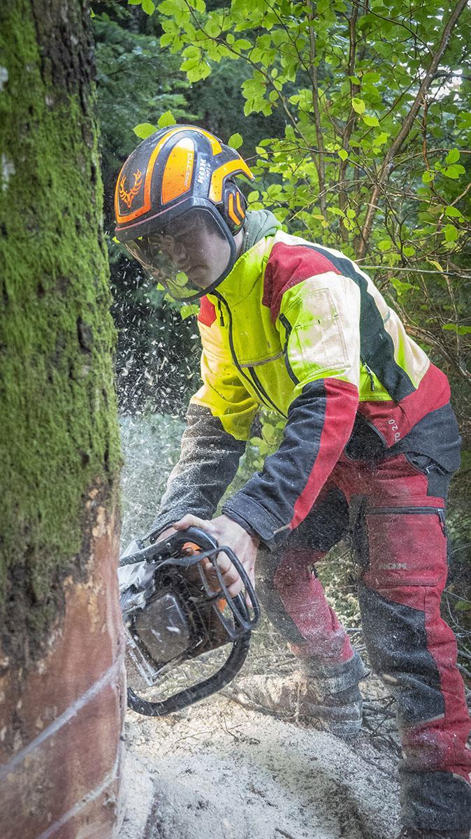 Abattage d'arbres difficiles Puy-de-Dôme