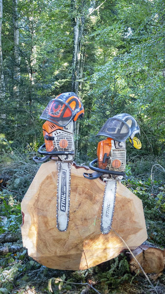 Abattage d'arbres difficiles Puy-de-Dôme