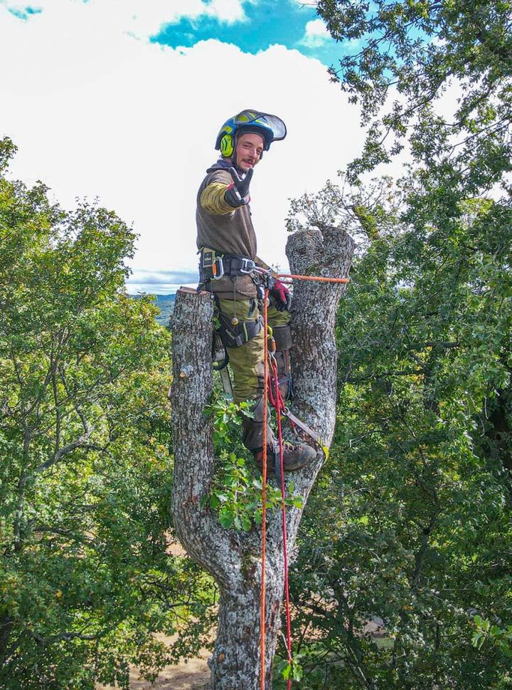 Abattage d'arbres difficiles Puy-de-Dôme