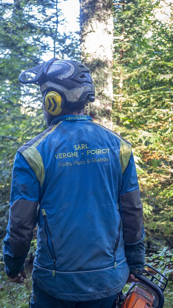 Entreprise d'élagage dans le Puy-de-Dôme